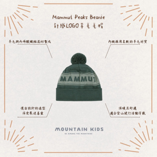 （山小孩）現貨，🇨🇭瑞士Mammut 長毛象 Peaks Beanie 針織LOGO羊毛毛帽