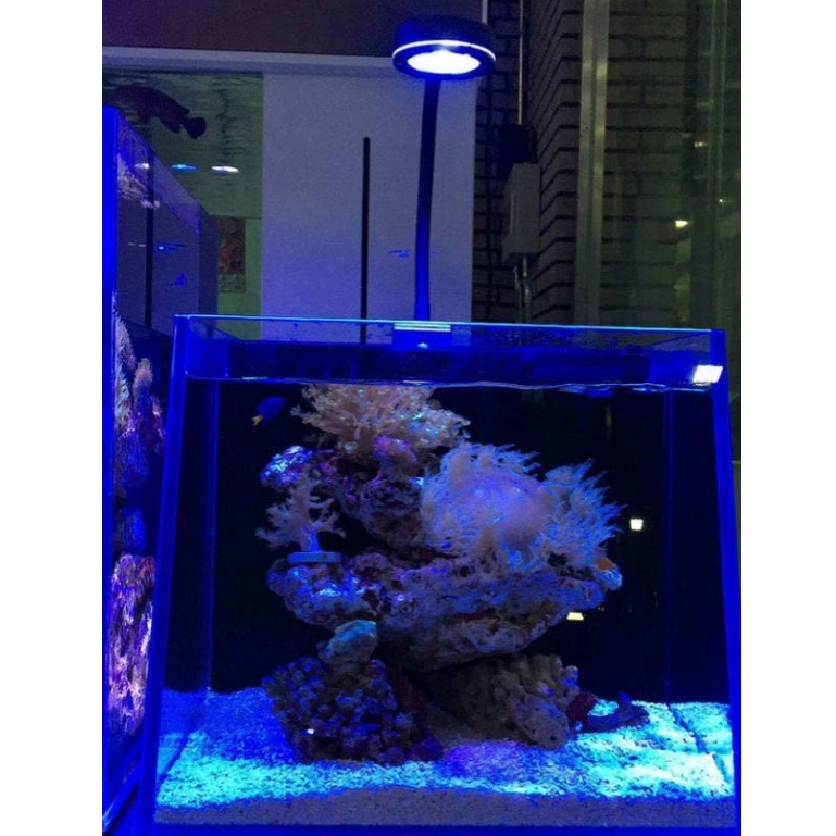 LED全光譜海缸燈 珊瑚魚缸燈 海藻燈 海水燈 珊瑚燈