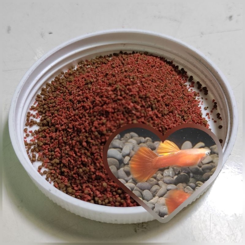 悠美水族**黃化全紅孔雀魚專用飼料
