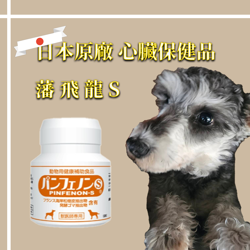 🐶藩飛龍S (120錠/瓶) 🐶日本原廠貨｜現貨供應 快速出貨｜