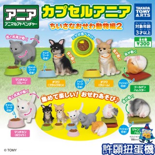 【許願扭蛋機】『現貨』 多美動物園小巧動物篇P2 全6種 扭蛋 轉蛋 T-ARTS 多美 動物 狗 寵物 公仔