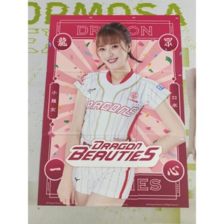 【口水】2023 味全龍 Dragon Beauties 小龍女 女孩卡 啦啦隊 一套九張