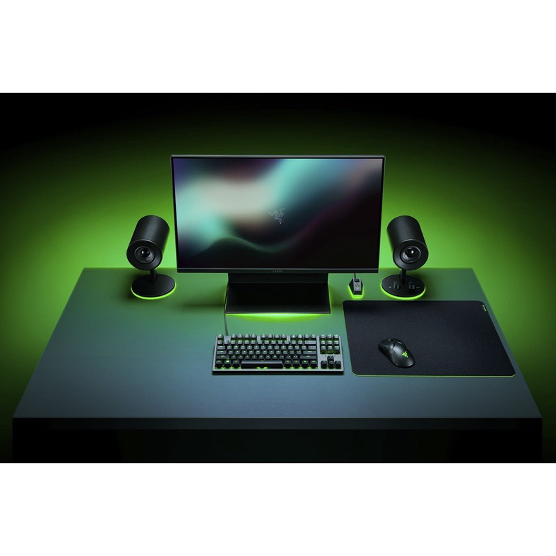 💐RAZER 雷蛇 GIGANTUS V2 巨甲蟲滑鼠墊（中）電競滑鼠墊【全新正品】