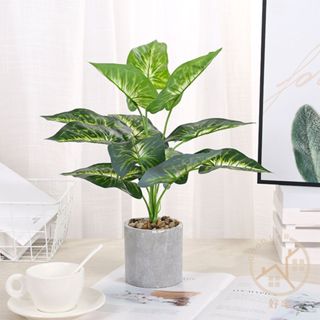 【臺灣現貨】Good Lab 北歐仿真植物 模擬綠植物 植物盆栽 仿真花 居家盆栽 商業擺飾 綠化植物 拍照道具 盆栽
