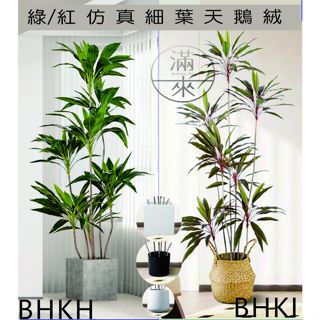 可開發票 北歐 仿真植物 多尺寸 細葉天鵝絨 假植物盆栽 園藝 綠化植物 人造植物 美化居家 網紅 擺飾 客滿來BHKH
