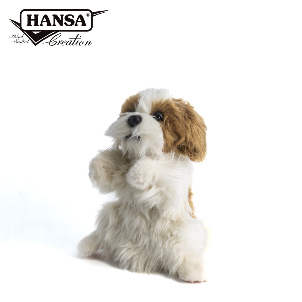 Hansa 7950-西施犬手偶37公分