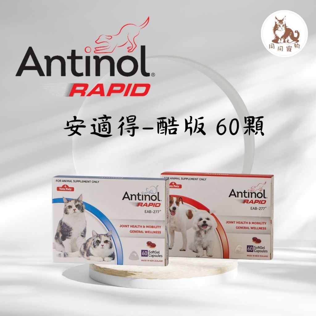 同同寵物❤️含總公司購證 現貨 安適得 酷版 關節保健食品 60顆/盒 antinol