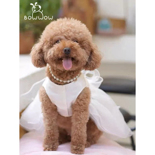 寵物衣服春夏新款婚紗裙蝴蝶結蕾絲禮服結婚衣服XL