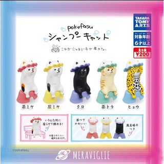 ［現貨］T-ARTS 扭蛋 pokefasu洗頭貓咪公仔