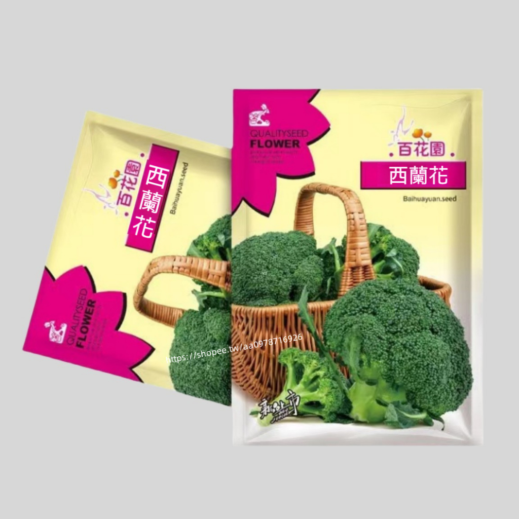 🔥西藍花🔥A113 西藍花種子 綠色花椰菜種籽 一包約100粒 西藍花 蔬菜 種子 原廠包裝 對版出貨 發芽率高95%