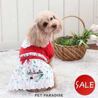 【PET PARADISE】米妮鬱金香洋裝 (3S/DS)｜DISNEY 2023新款 寵物精品