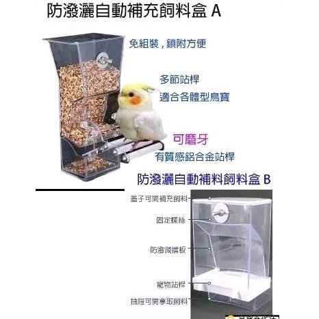 ✨鳥窩合作社✨防潑灑自動補充飼料盒 台灣現貨 快速出貨 熱銷品補貨到