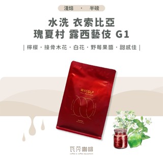 (現貨附發票) 水洗 衣索比亞 瑰夏村 露西藝伎 G1 兩次手選挑豆 100%阿拉比卡精品咖啡豆