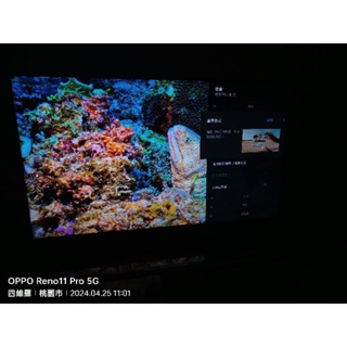 SONY /ps5專用【KM-75X85J】BRAVIA 75吋 4K Google TV 超極真影像處理器 X1