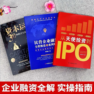 (臺灣現貨) 正版 從天使投資到IPO 資本運作30種模式 民營企業融資 企業管理書籍