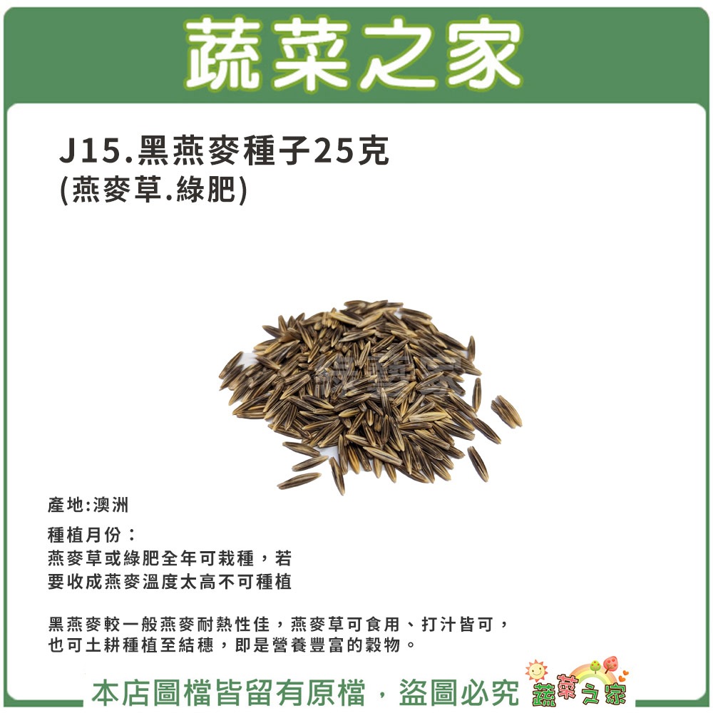 【蔬菜之家滿額免運】J15.黑燕麥種子25克(燕麥草.綠肥.較一般燕麥耐熱性佳.燕麥草可食用、打汁皆可)