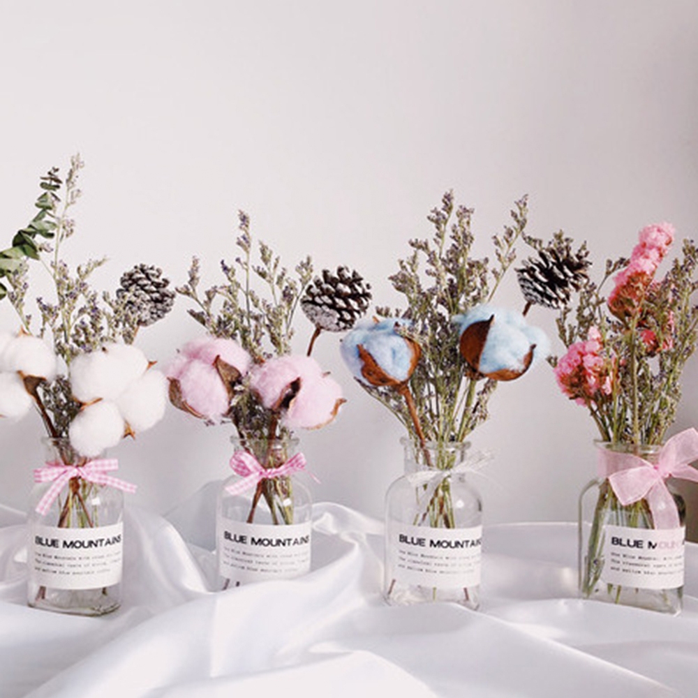 花瓶 多款 乾燥花 木棉花 兔尾草 乾花 玻璃瓶套裝 裝飾 拍照花束 擺拍 拍攝道具