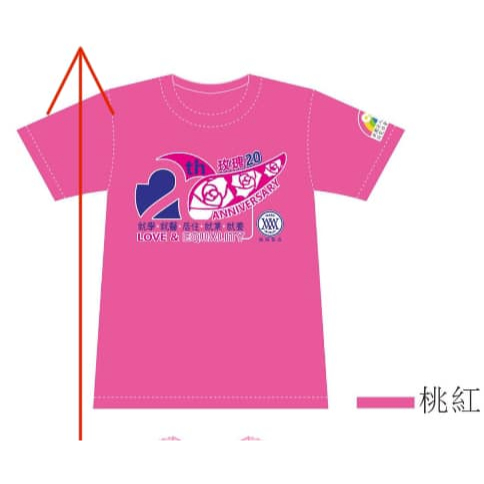 [ 紀念T ] 竹山 2024 玫瑰20為愛而行 機會平權公益路跑 紀念衫 XL