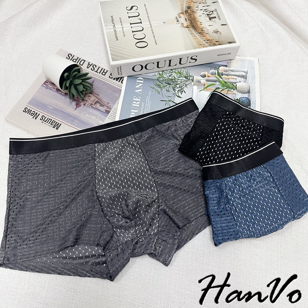 【HanVo】冰絲鏤空透氣網眼內褲 獨立包裝 透爽清涼高彈力內褲 流行男款內褲 內著 B5045