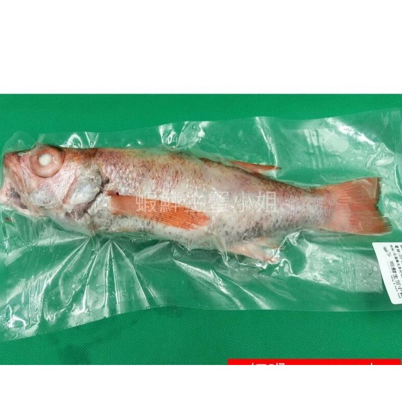 【海鮮7-11】野生紅喉魚  殺清500-550克上/隻 * 肉質非常細緻且有油脂 **單隻1200元**
