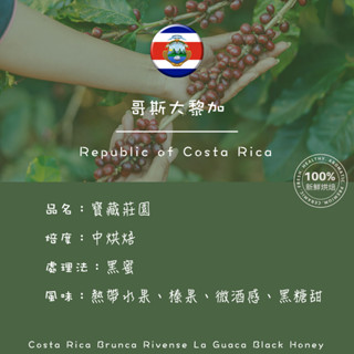 【 寶藏莊園 】單品咖啡豆｜哥斯大黎加｜中烘焙｜⿊蜜