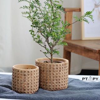 少量補貨) 地中海 編織 花盆 竹編 北歐 水泥 ins 無印風 擺件 小花盆 象牙宮 龍舌蘭 多肉 觀葉 黃金葛