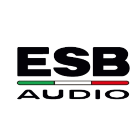ESB 6.5吋 二音路 1.6 COAX 車用同軸喇叭