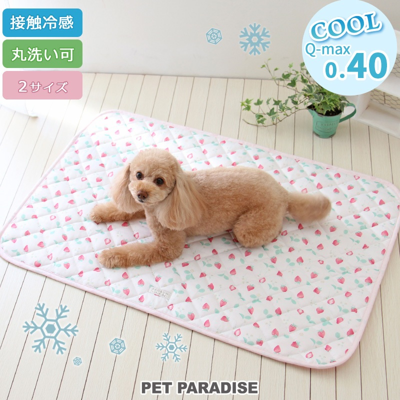 【PET PARADISE】寵物COOLMAX涼感睡墊《2尺寸》  ｜PP滿版草莓 2024新款 夏季接觸涼感 中大型犬