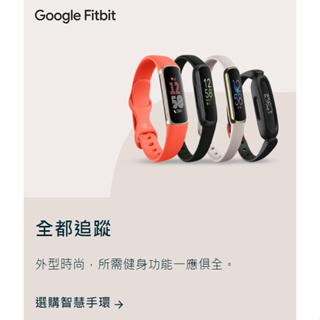 Google Fitbit 智慧手環