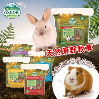 (原廠)折價券+蝦幣回饋【美國OXBOW】天然牧草系列15oz 提摩西牧草 苜蓿草 鼠兔牧草 兔子牧草 兔用牧草 倉鼠