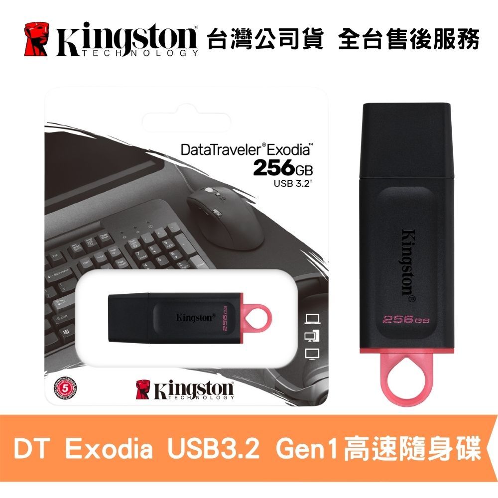 Kingston 金士頓 256GB DataTraveler Exodia USB 隨身碟 鑰匙圈 保護蓋 台灣公司貨