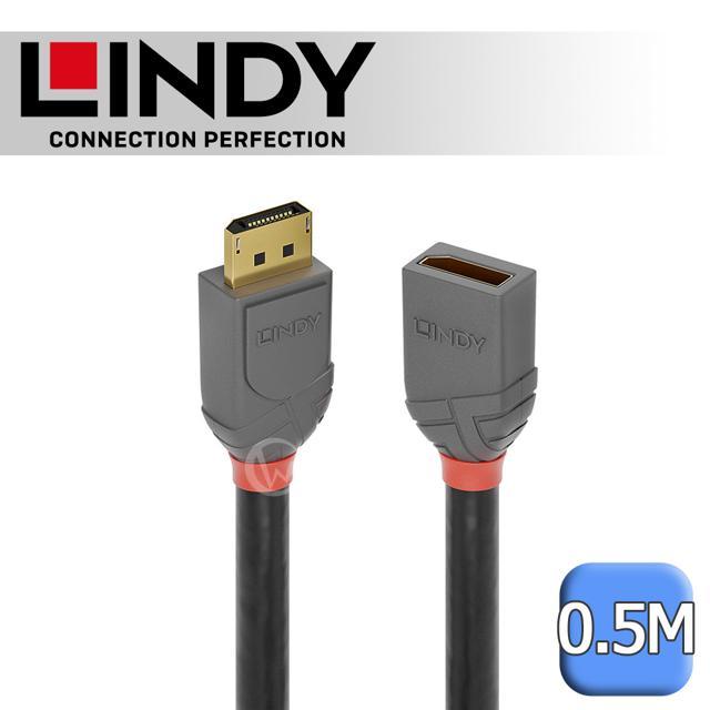 LINDY 林帝 ANTHRA DisplayPort 1.4版 公 to 母 延長線, 0.5M (36495)