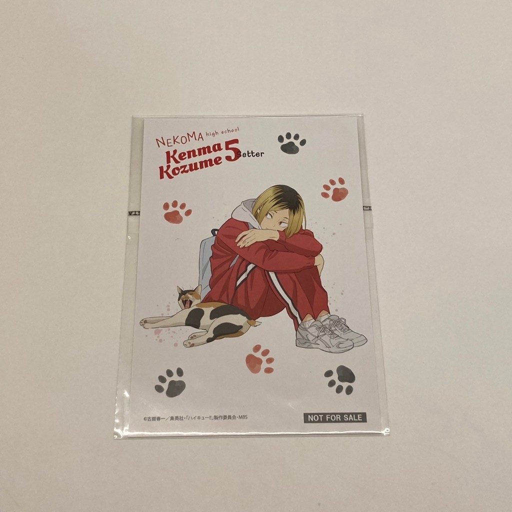 【現貨】排球少年 貓部 特典明信片 研磨