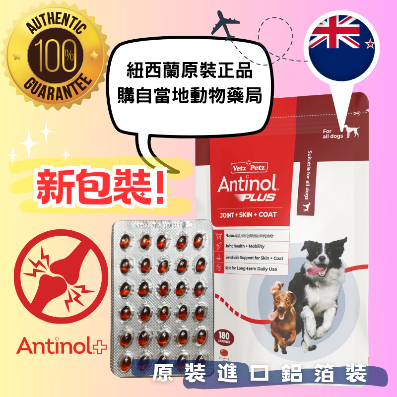 💥新包裝上市💥Antinol Plus  紐西蘭原裝正品鋁箔單顆裝EAB-277關節保養與台灣代理商安適得酷版同成份