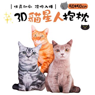 3D貓星人抱枕 玩偶 靠枕 貓咪抱枕 趴枕 抱枕 造型抱枕 貓公仔 聖誕節 交換禮物 搞怪 畢業禮物