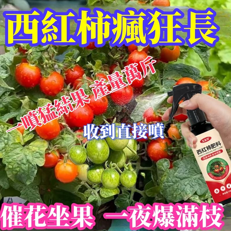 【台灣發貨】正品 番茄專用營養 聖女果營養液 小番茄肥 預防枯萎 黃葉 掉葉家庭盆栽園藝蕃茄有機肥