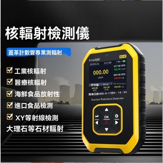 【含稅價】核輻射儀檢測儀/專業大理石放射性射線電離個人劑量//報警蓋革計數器
