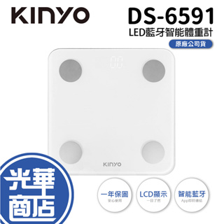 KINYO DS-6591 LED藍牙智能體重計 體重機 專屬APP 藍牙 鋼化玻璃 感應系統 高精準 省電 體重管理