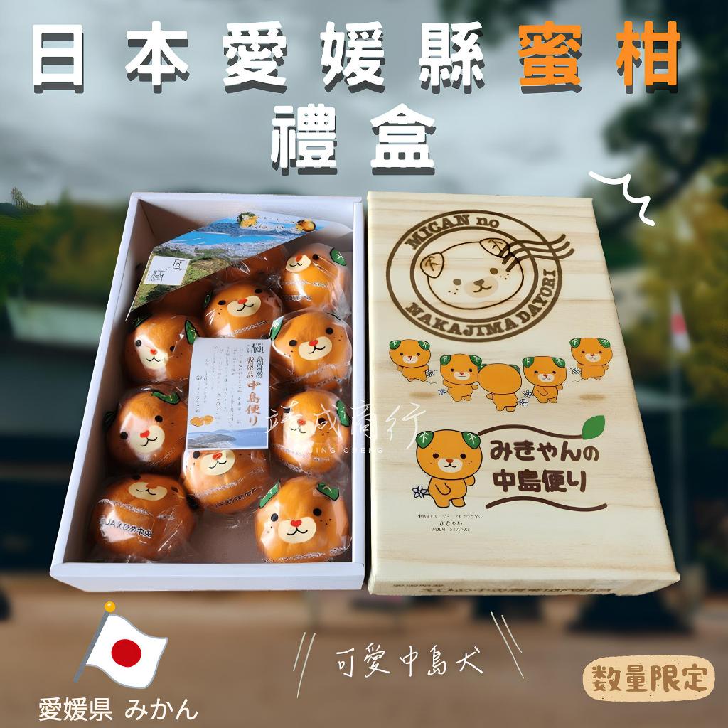 【靖成商行】日本愛媛縣蜜柑禮盒🍊 | 12顆入 | 滿額免運 | 中島便蜜柑 中島犬蜜柑 蜜柑禮盒