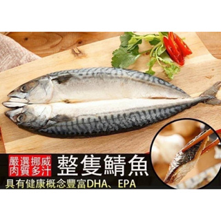 挪威鯖魚一夜干 220g/隻 (冷凍超取限重8公斤)