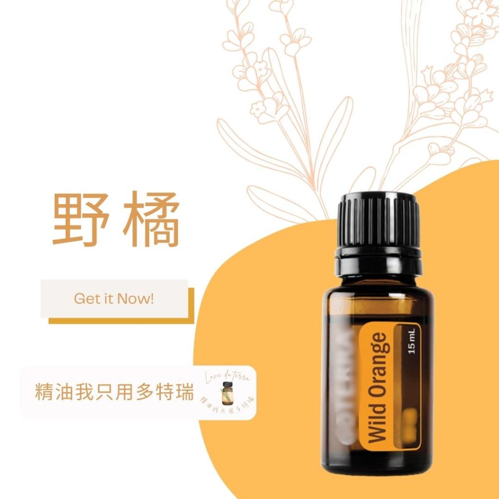 多特瑞 野橘 精油 15ml  Wild Orange 代購 公司貨 芳療 自然醫學 健康保養 放鬆 舒緩 舒壓 擴香