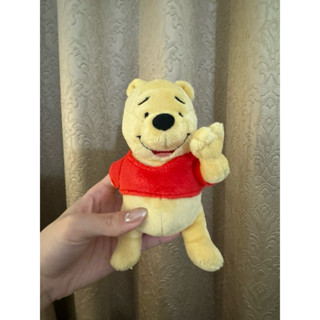 正版 T-ARTS Winnie the Pooh 小熊維尼 掛飾 吊飾 娃娃 玩偶 布偶 絨毛