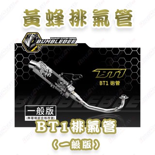 【榮銓】黃蜂 BT1 白鐵排氣管 砲管 鈦管 訂製 直通管 DRGBT 勁戰 BWSR KRV DRG 水冷B