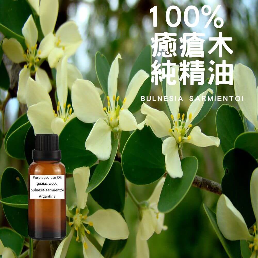 100% 癒瘡木 玉檀木 綠檀  聖檀木 純精油 guaiac wood pure essential oil
