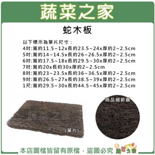 【蔬菜之家滿額免運】蛇木板 (單片裝)│4吋~1尺(天然筆筒樹切塊製成.保水性通氣性極佳) 蛇木 鹿角蕨 適合蘭科類植栽