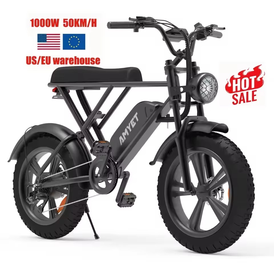 20 吋 fatbike 電動自行車 48v 250W 鋰電池