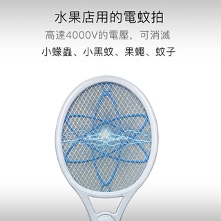 *大象生活館* 【anbao 安寶】小黑蚊三層電蚊拍 AB-9930 三層網設計 專打小小蚊蟲 特殊雙面織網 網面除電