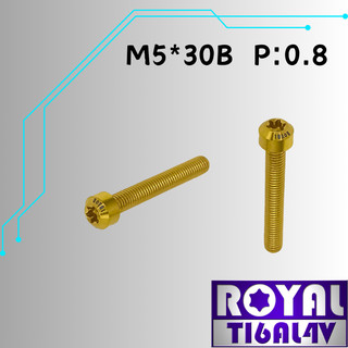 【瘋螺絲】ROYAL 鈦合金螺絲★ M5*30B P:0.8 錐形螺絲★64鈦/正鈦/鈦合金螺絲★出貨附發票★土豪金
