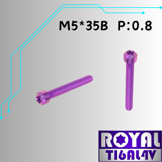 【瘋螺絲】ROYAL 鈦合金螺絲★ M5*35B P:0.8 錐形螺絲★64鈦/正鈦/鈦合金螺絲★出貨附發票★皇家紫