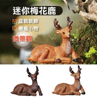 【草葉日和】盆栽裝飾 生態瓶 花寵鹿 梅花鹿 小鹿 扭蛋 動物模型 多肉盆栽 苔蘚 魚缸造景 生態缸 多肉植物 微景觀